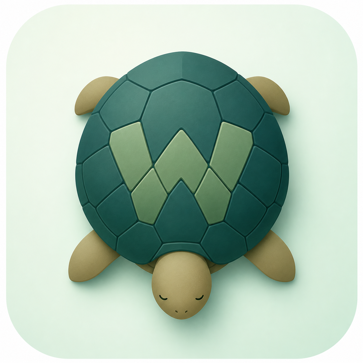 Wait a Minute tortoise logo